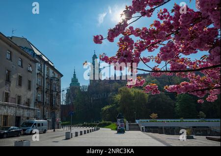 Blick auf das malerische Wawelschloss, die historisch und kulturell bedeutendste Stätte im Zentrum von Kraków, Polen. Stockfoto