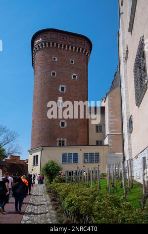 Senatorska Tower (Residenz des Senators) im Krakauer Wawelhügel Königliches Schloss. UNESCO-Weltkulturerbe in Krakau, Polen. Stockfoto