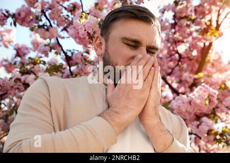 Mann mit saisonaler Pollenallergie in der Nähe von blühenden Bäumen im Freien Stockfoto