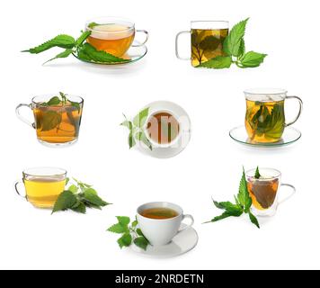 Set mit aromatischem Nesseltee in Glasbechern auf weißem Hintergrund Stockfoto