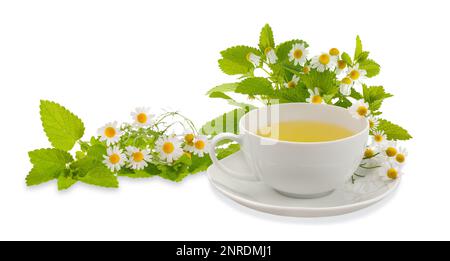 Kamillentasse mit Blumen und Zitronenbalsam isoliert auf Weiß Stockfoto