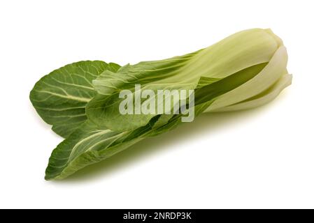 Frischer Pak Choi isoliert auf weißem Hintergrund Stockfoto