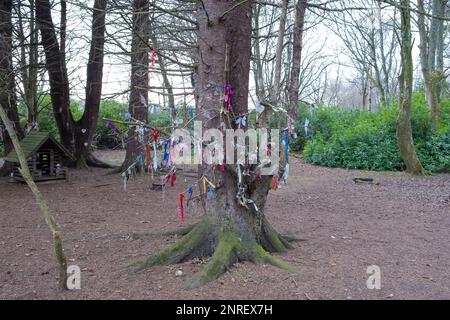 Troon, Schottland, Großbritannien - der Gedächtnisbaum und die Fairy glen Fußwege des Fullerton Park in Troon Schottland mit verschiedenen Erinnerungsstücken, die auf dem Baum zu sehen sind Stockfoto