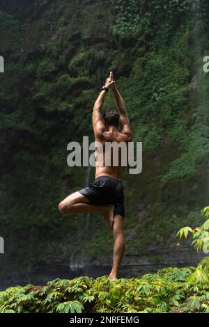 Vrikshasana-Baum-Pose aus Yoga durch Männersilhouette im Dschungel. Stockfoto