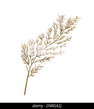 Aquarell exotischer trockener Zweig mit goldenen Texturen. Handbemalte Bo-Ho-Blätter isoliert auf weißem Hintergrund. Stockfoto