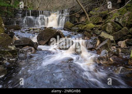 Whitfield Gill Force in der Nähe des Dorfes Askrigg in Wensleydale Stockfoto