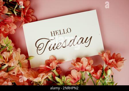 „Hello Tuesday“-Schriftzug mit Blumenrahmen auf pinkfarbenem Hintergrund Stockfoto