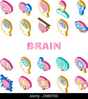 Gehirnbewusstsein menschliche Kopfsymbole setzen Vektor Stock Vektor