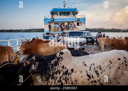 Fähre von Rusinga Island nach Luanda Kotieno, Victoria-See, Kenia Stockfoto