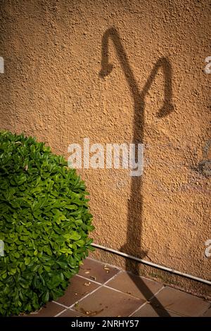 Swimmingpool im Sommer Stockfoto