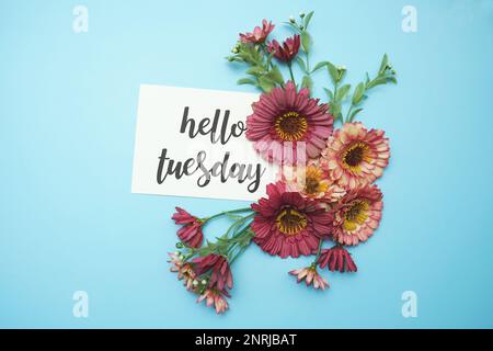 Hallo Dienstag Typografie Text mit Gänseblümchen auf blauem Hintergrund Stockfoto