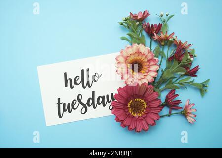 Hallo Dienstag Typografie Text mit Gänseblümchen auf blauem Hintergrund Stockfoto