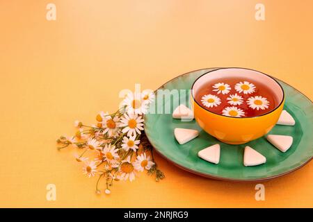 Kamillentee, Stille auf farbigem Hintergrund. Stockfoto