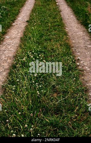 Ackerweg durch ein Feld. Stockfoto