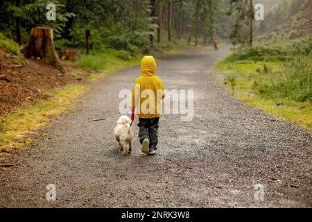 Vater und drei Kinder mit maltesischem Haustier, die im Sommer bei starkem Regen in einem Wald spazieren gehen Stockfoto