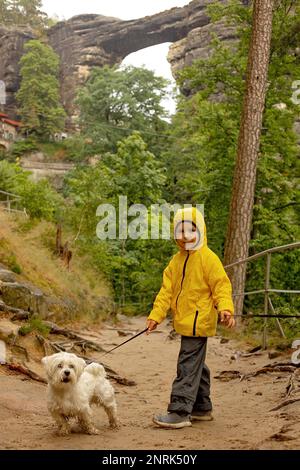 Vater und drei Kinder mit maltesischem Haustier, die im Sommer bei starkem Regen in einem Wald spazieren gehen Stockfoto