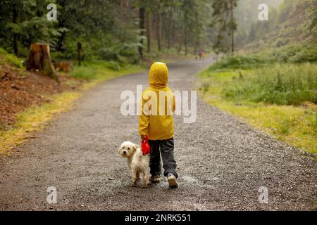 Vater und drei Kinder mit maltesischem Haustier, die im Sommer bei starkem Regen in einem Wald spazieren gehen Stockfoto