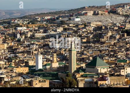 Skyline, Fez. Marokko Stockfoto