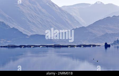 Loch Duich Westküste Schottland die Käfige oder Netze einer Lachszucht im Sea loch Stockfoto