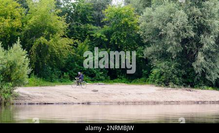 Ein Radfahrer fährt entlang einer Landstraße in der Nähe eines Flusses und eines Waldes an einem Sandstrand in Russland. Stockfoto
