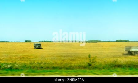 Eine Erntemaschine erntet im Herbst auf einem Feld in Russland auf dem Rücksitz eines Lkws. Stockfoto