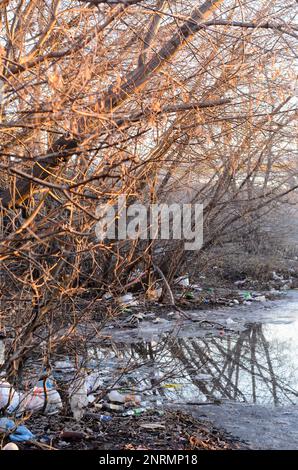 Der Müll taute im Frühling aus dem Schnee bei Sonnenuntergang auf der Straße in Russland auf Stockfoto