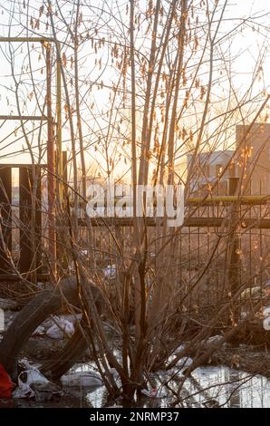 Der Müll taute im Frühling aus dem Schnee bei Sonnenuntergang auf der Straße in Russland auf Stockfoto