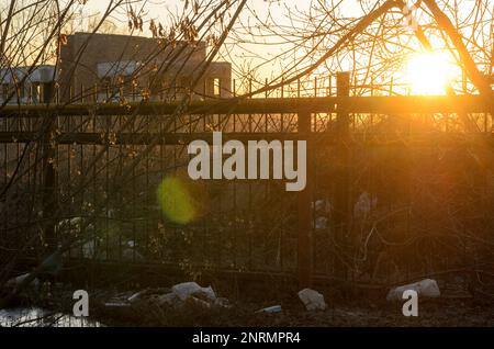 Der Müll taute im Frühling aus dem Schnee bei Sonnenuntergang auf der Straße in Russland auf Stockfoto