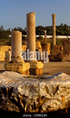 Tunez: Carthage. Die Antonine Bäder (auf dem 2. Jahrhundert n. Chr. gebaut). Stockfoto