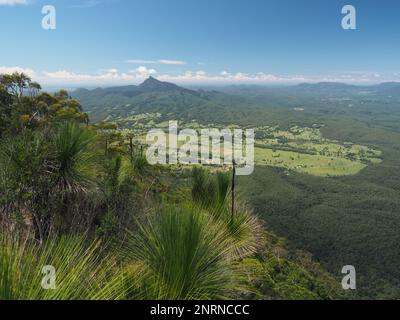 Blick über die Tweed-Schichtlinie und Mount Warning vom Pinnale Walk, Border Ranges National Park, New South Wales. Stockfoto