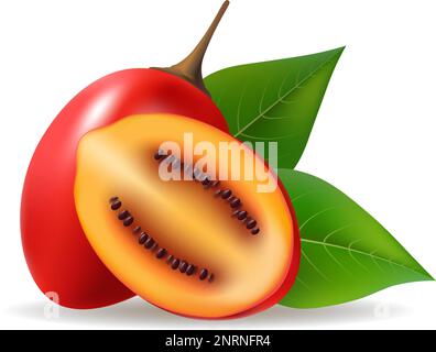 Tamarillo-Früchte-Illustration Stock Vektor