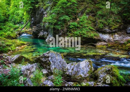 Alpenlandschaft mit Radovna in der Vintgar-Schlucht, Triglav-Nationalpark, Slowenien. Stockfoto