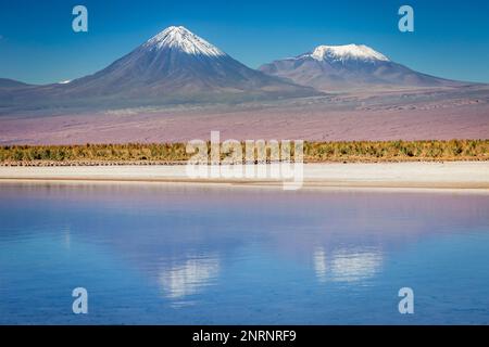 Licancabur und friedlicher Reflexionssee mit dramatischer vulkanischer Landschaft bei Sonnenuntergang, Atacama Wüste, Chile Stockfoto