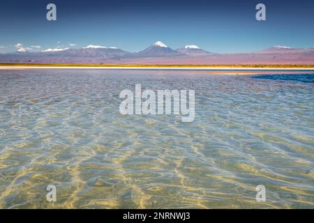 Licancabur und friedlicher Reflexionssee mit dramatischer vulkanischer Landschaft bei Sonnenuntergang, Atacama Wüste, Chile Stockfoto