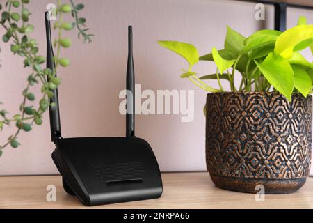 Moderner wlan-Router und Zimmerpflanzen auf Holzregal im Innenbereich Stockfoto