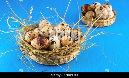 Frische Wachteleier aus biologischem Anbau in rustikalen Korbkörben auf einem blauen Tisch. Horizontal, Nahaufnahme, selektiver Fokus, Kopierbereich. Draufsicht. Stockfoto