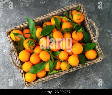 Tangerinen (Orangen, Mandarinen, Clementinen, Zitrusfrüchte) mit Blättern in Holzkorb auf grauem Zementhintergrund. Zitrusfrüchte aus biologischem Vegetarier Stockfoto