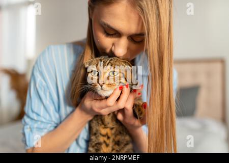 Die süße junge Blonde hält eine süße, grün-äugige schottische Tabby-Katze, die auf ihrem Schoß in ihren Armen sitzt und sie umarmt, das Konzept der Liebe und Pflege für Haustiere Stockfoto
