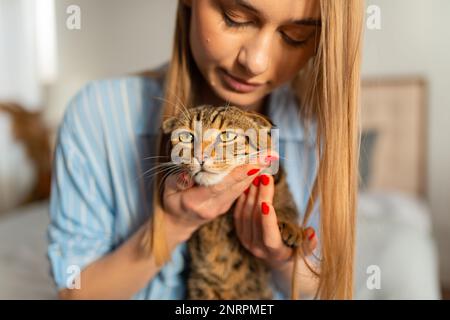Die süße junge Blonde hält eine süße, grün-äugige schottische Tabby-Katze, die auf ihrem Schoß in ihren Armen sitzt und sie umarmt, das Konzept der Liebe und Pflege für Haustiere Stockfoto