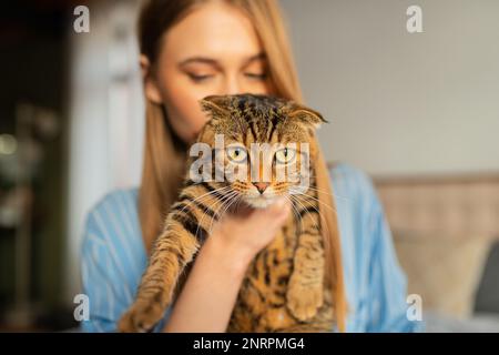Die süße junge Blonde hält eine süße, grün-äugige schottische Tabby-Katze, die auf ihrem Schoß in ihren Armen sitzt und sie umarmt, das Konzept der Liebe und Pflege für Haustiere Stockfoto