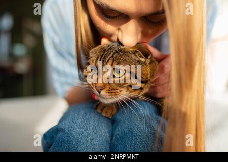 Die süße junge Blonde hält eine süße, grün-äugige schottische Tabby-Katze, die auf ihrem Schoß in ihren Armen sitzt und sie umarmt, das Konzept der Liebe und Pflege für Haustiere Stockfoto