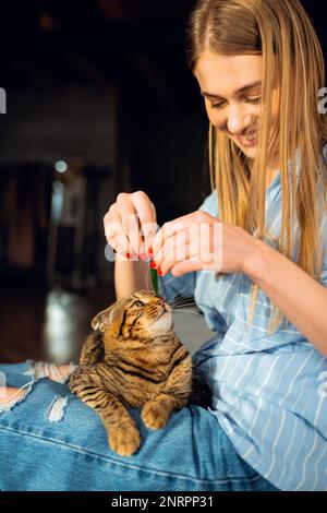 Lächelnde junge blonde Frau, die süße, grün-äugige schottische Tabby Cat spielt, die auf ihrem Schoß in ihren Armen sitzt und sie umarmt, das Konzept, sich um Haustiere zu kümmern Stockfoto