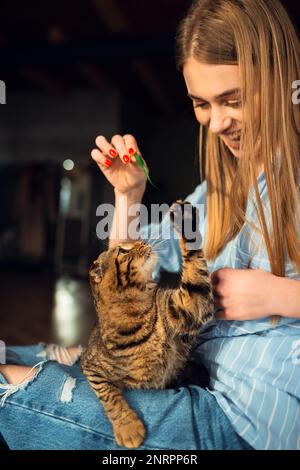 Lächelnde junge blonde Frau, die süße, grün-äugige schottische Tabby Cat spielt, die auf ihrem Schoß in ihren Armen sitzt und sie umarmt, das Konzept, sich um Haustiere zu kümmern Stockfoto