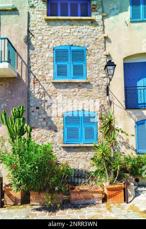 Antibes, Frankreich (Französische Riviera, Azure Coast). Traditionelle, klassische mittelalterliche Vintage-Fassade und blau bemalte Fenster. Grüne Pflanzen in Töpfen in der Nähe von Stockfoto