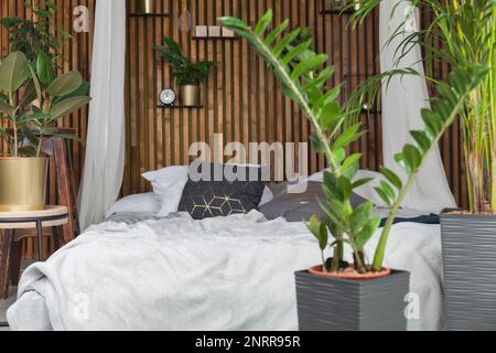 Grauer Mantel und Kissen auf dem Bett im Haus oder Hotel. Skandinavischer Stil mit grünen Pflanzen Wohnzimmereinrichtung in Art déco-Apartment. Entspann dich, Eco Pommes Stockfoto