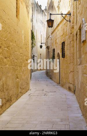 Ruhige, enge, mittelalterliche Wüstenstraße in der stillen Stadt Mdina, Malta. Reisepostkartenurlaubskonzept. Speicherplatz kopieren. Vintage-Effekt. Stockfoto