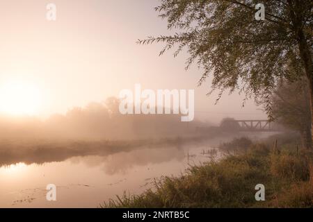 Der Waveney River in Mendham, Suffolk, Großbritannien, an einem nebligen Herbstmorgen Stockfoto