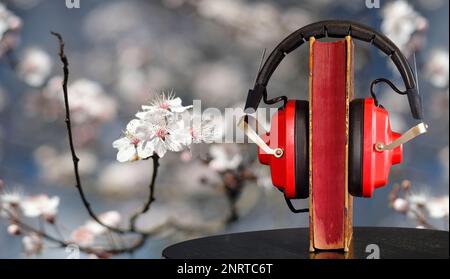 Neues Hörbuch für Frühling und Sommer 2023 mit Buch, Vinatge Kopfhörer und Kirschblüten Hintergrund. Frühlingsbuchmesse, Entspannung, Inspiration Stockfoto