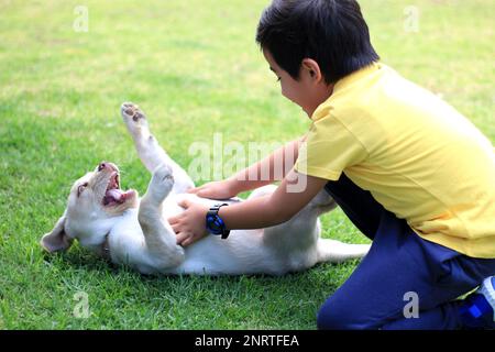 Hispanischer kleiner Junge spielt mit seinem Hund im Park und droht gebissen zu werden, weil der Hund nicht trainiert ist Stockfoto