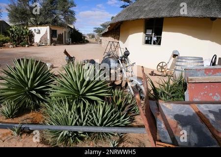 Habitatkonservierung Solitaire in Namibia Stockfoto